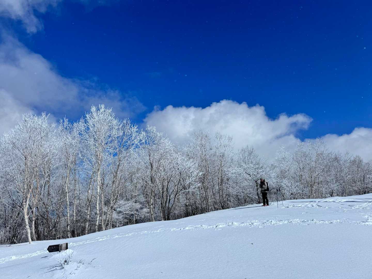地蔵岳取付-高天原-地蔵岳登山口-八丁峠-長七郎山-赤城山 周回コースの写真