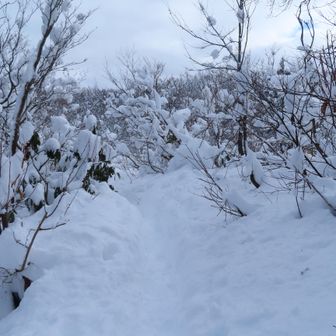 もう急傾斜は終わりました