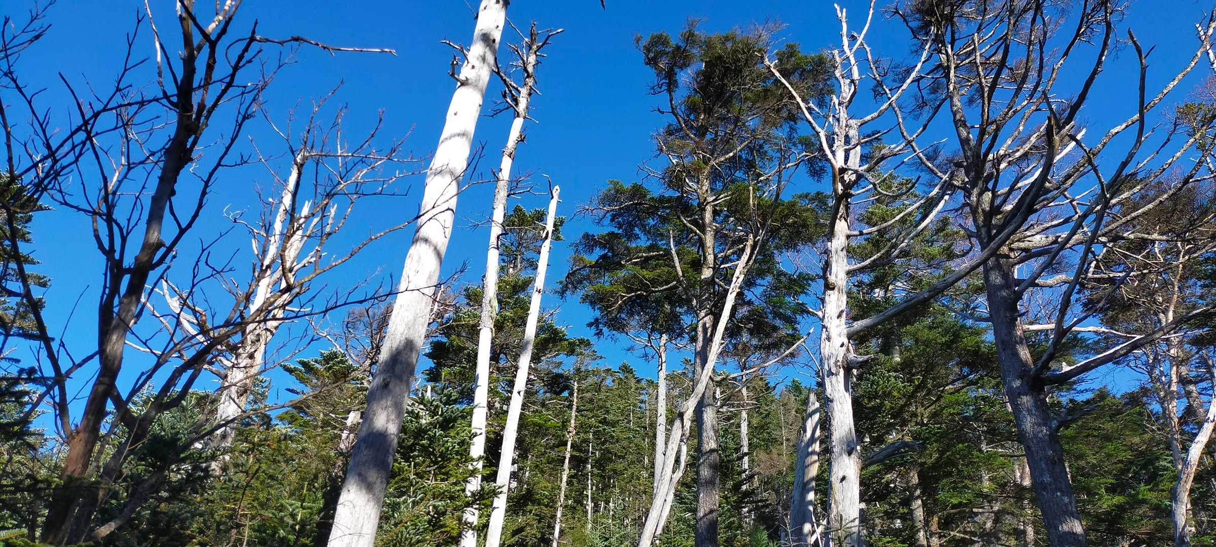 西沢渓谷入口バス停-木賊山 縦走コースの写真