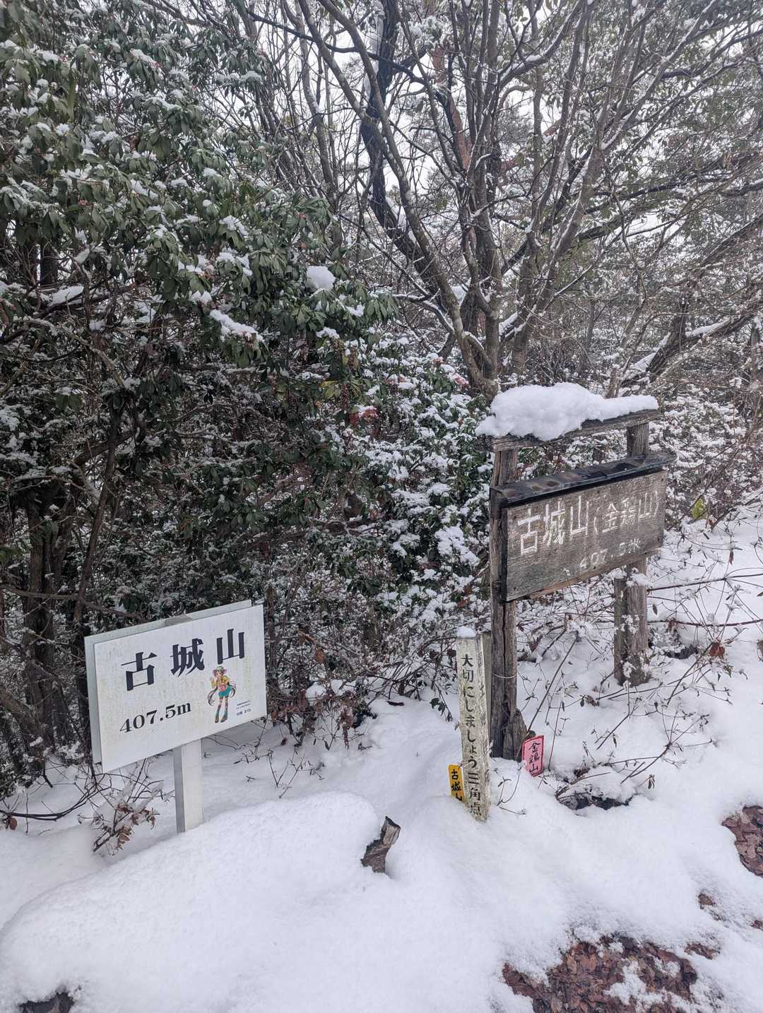 古城山 往復コースの写真