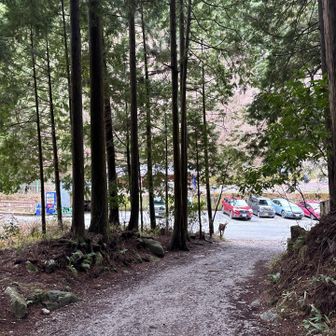 駐車場に戻ってきました。