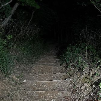 見届けたので下山します