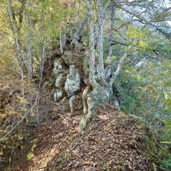 もうすぐ山頂