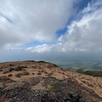 今日は、雲が多くて、
風が吹くと涼しいが、風が無いと暑い！
当たり前か！