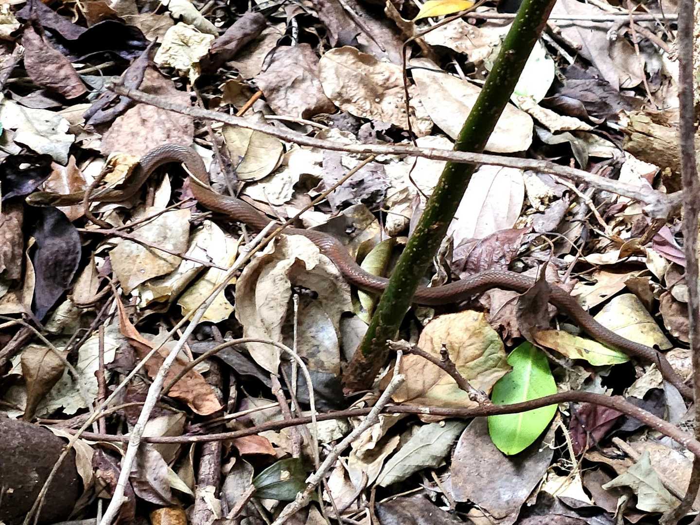 🐍😆１人じゃ無くて良かったよ～