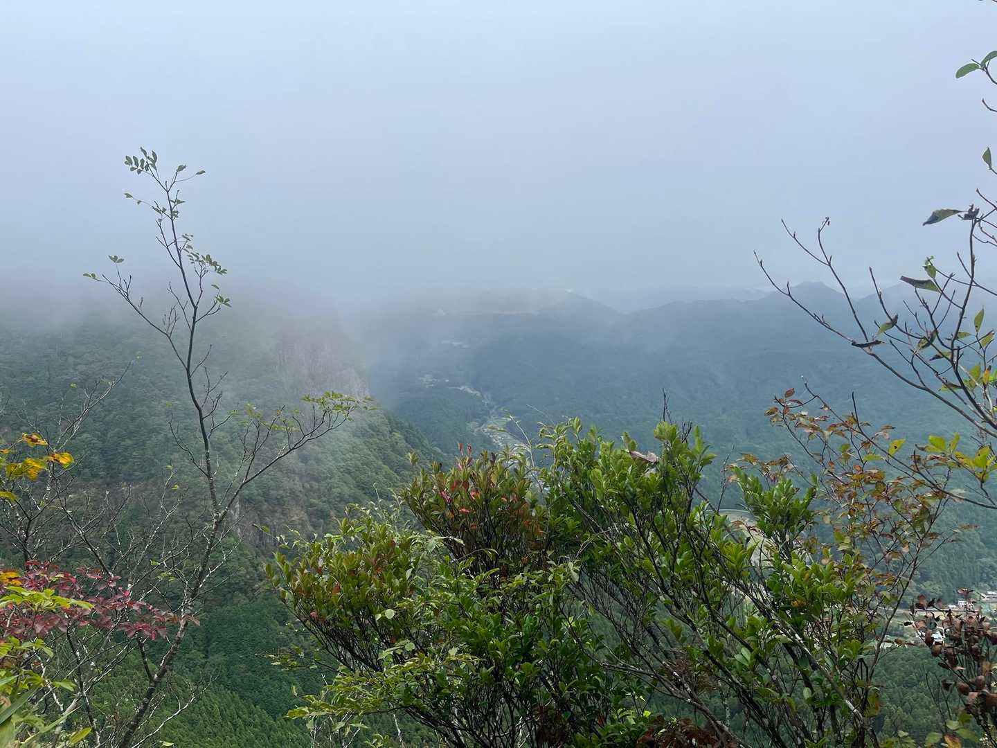ビューポイントらしいけど真っ白🌫️