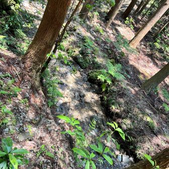 見にくいですが小川️🩵