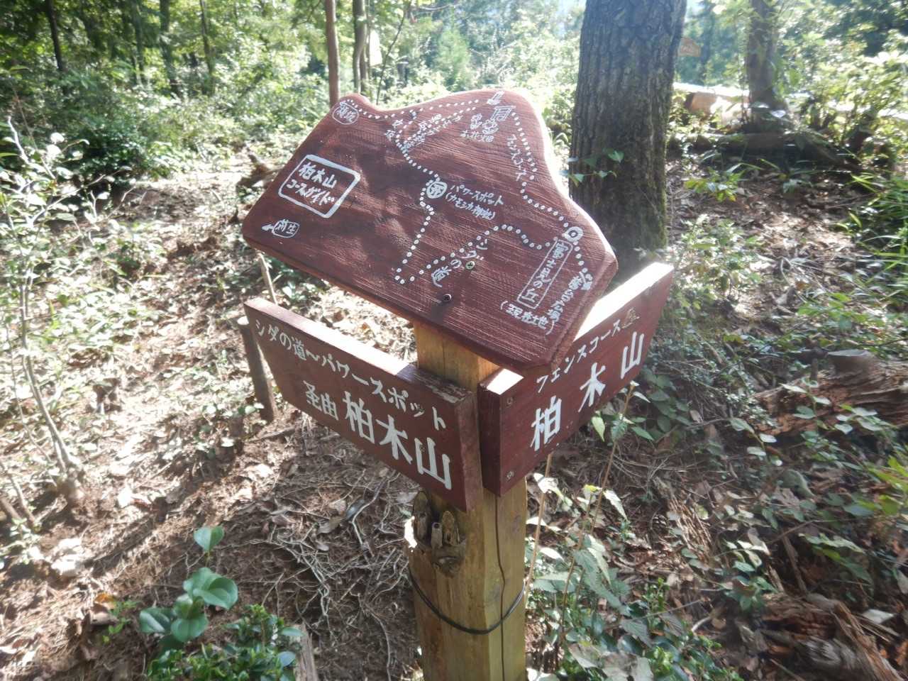 柏木山-赤根峠-龍崖山 周回コースの写真