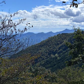 急登の途中、振り返ると眺望が開けていた。今度挑戦しようと思っている御岳山方面。