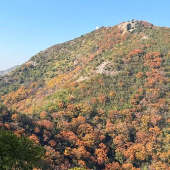 小高御位からの高御位山