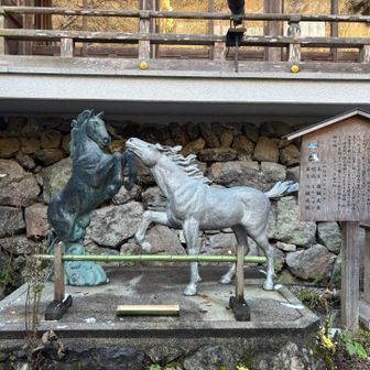 絵馬発祥の社だそうです
午年にお馬さん