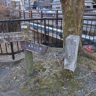 梅の木平に到着！
これで関ふれ神奈川の約200km、完全制覇です。
とはいえ、ここじゃバスのタイミングが悪いので高尾山口駅まで歩くことに。