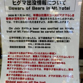 2026年7/24🐻熊注意報⚠️