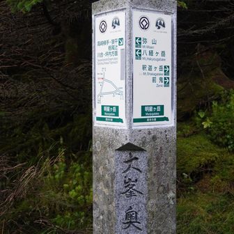 分岐です。
あまり人が通ってなさそうな方へ登ります