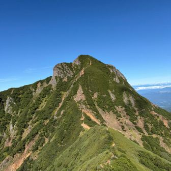 振り返って阿弥陀岳🏔️