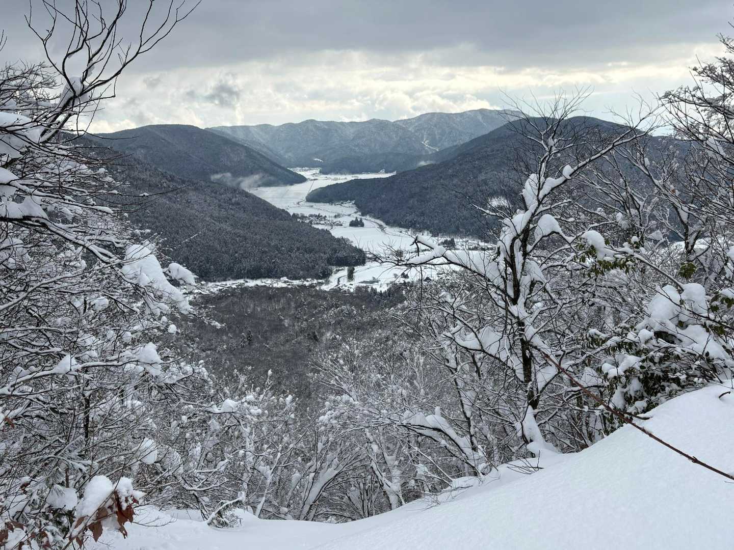 赤坂山往復 | 琵琶湖と日本海を同時に望む、花の百名山・高島トレイルの稜線への写真
