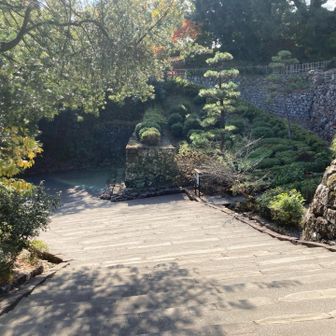 今日は、とにかく暑い。20℃くらいありました。
高知って南国なだけあって、気温が高いの？！
高知の人は、厚着している人誰もいなかった。