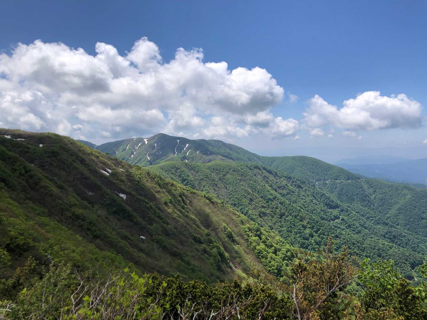 部子山