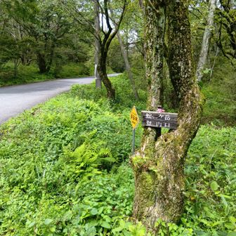 蛇ヶ岳登山口👉