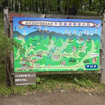 上日川峠〜雷岩〜大菩薩嶺のピストン
登山道はしっとりして滑りやすい⚠️
大菩薩峠は断念