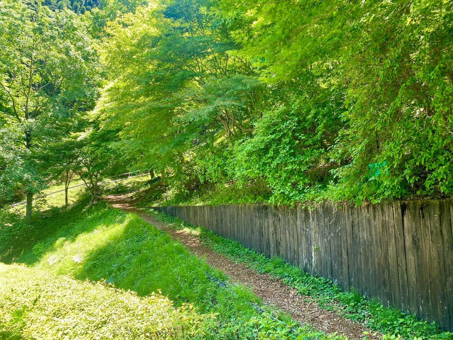 ウッドチップが敷き詰められた歩きやすい道。
木漏れ日の中を歩く、気持ちのいい道です🚶