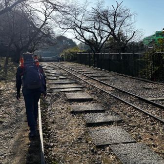 蹴上げから京都トレイルコースに入ります