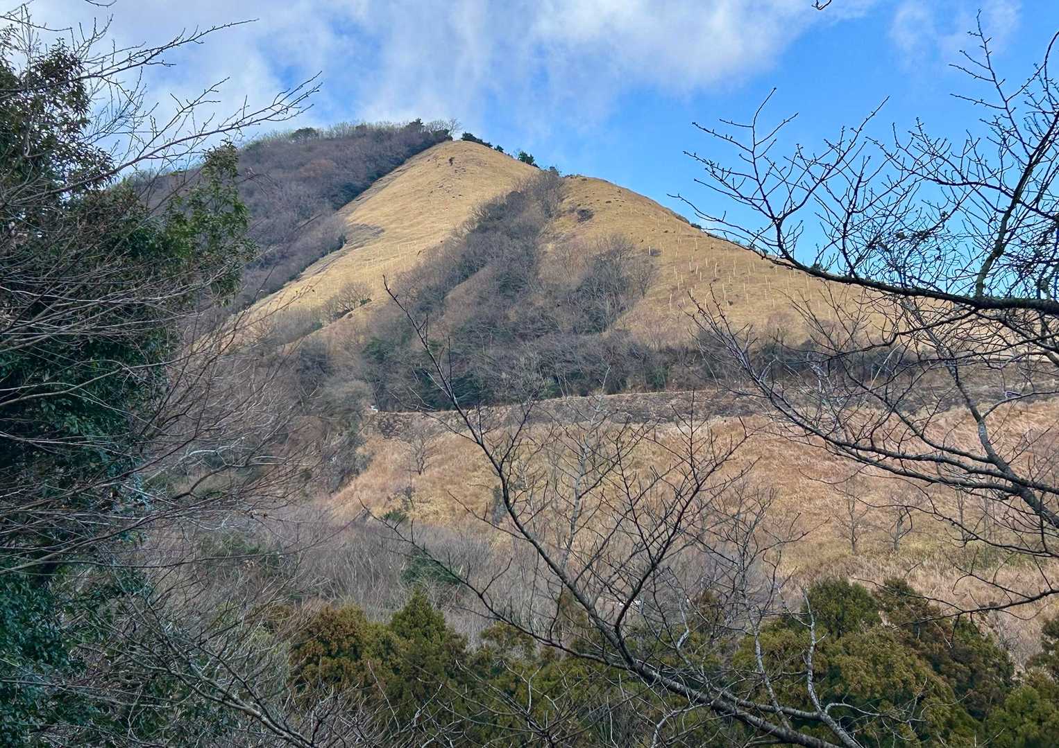 鍋山ハート型紅葉
跡がしっかり((´∀｀*))♡