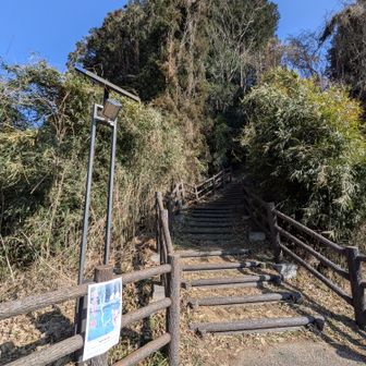 更にトレーニング！
TOILET借りに行きます😊