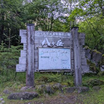 やっとスタート地点😮‍💨