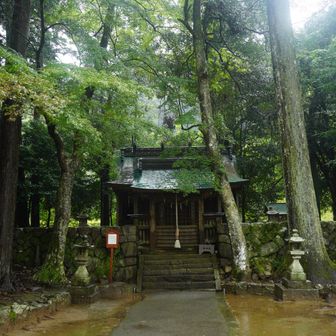 ◼︎Day6
雨の中出発☂️
市野々王子