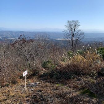 展望台の近くにあるシンボル的な紅葉が枯れ落ちてしまいました。このように樹木もまた1つの年輪が増えました。