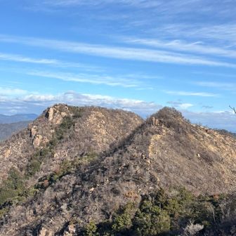 鮫肌2座でした。