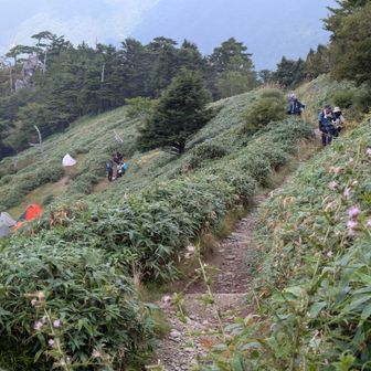 西島野営場に着いた…⛺️が少し。ここで泊まったなぁ～懐かしい🥹