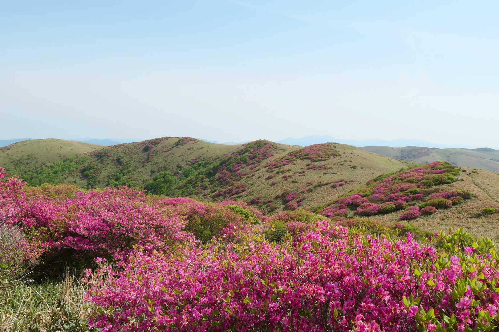 笠取山（愛媛県）の最新登山情報 / 人気の登山ルート、写真、天気など