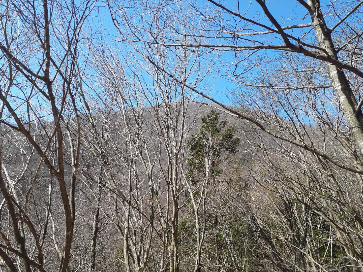 あれが安戸山ですね⛰️