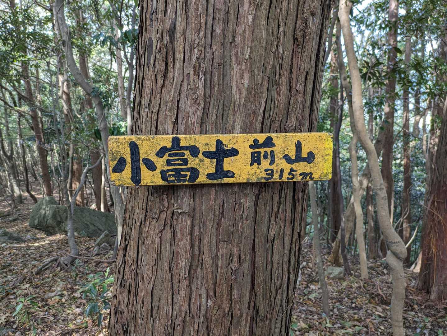 小富士前山山頂⛰。
眺望はありません。
途中の鶴が峠は山頂標識がありませんでした。