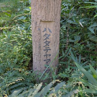 ハタタテヤマの路から…