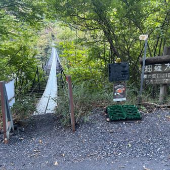 風がなく全然怖くない、吊り橋の上で写真を撮ってスマホを落とさないようにする方が緊張した、
