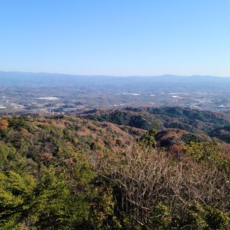 大岩展望台からの景色