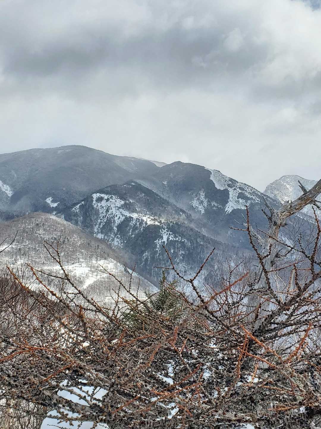 高峰温泉バス停-高峰神社-高峯山 往復コースの写真
