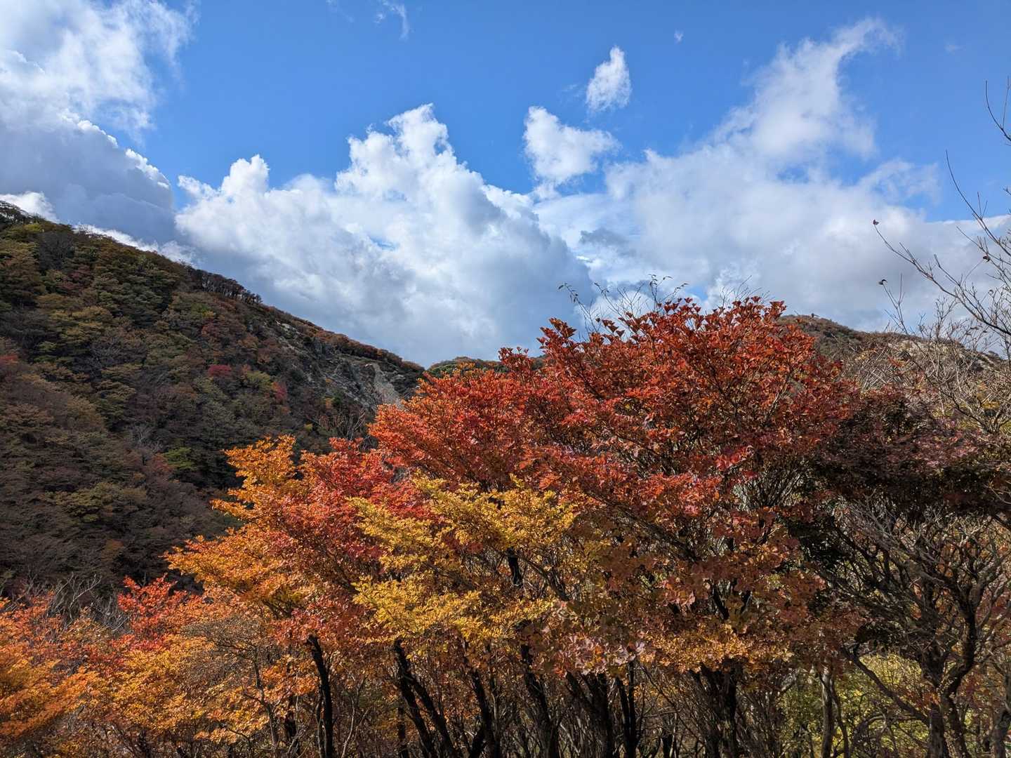 北山-岩ヶ峰-釈迦ヶ岳-仙香山-北仙香山-三池岳 周回コースの写真