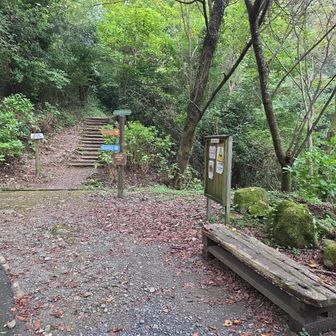 あじさい新道への分岐