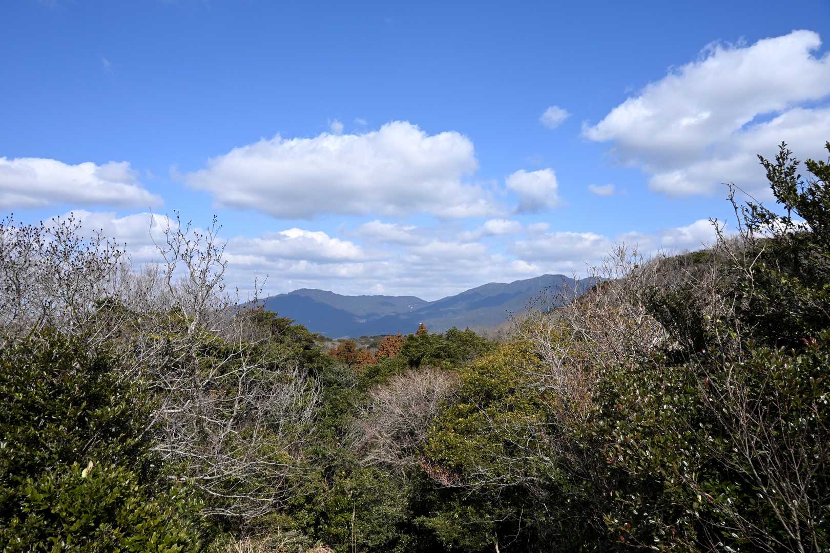 焼米ヶ原の展望所からショウケ越えを挟んで砥石山と若杉山を望む。