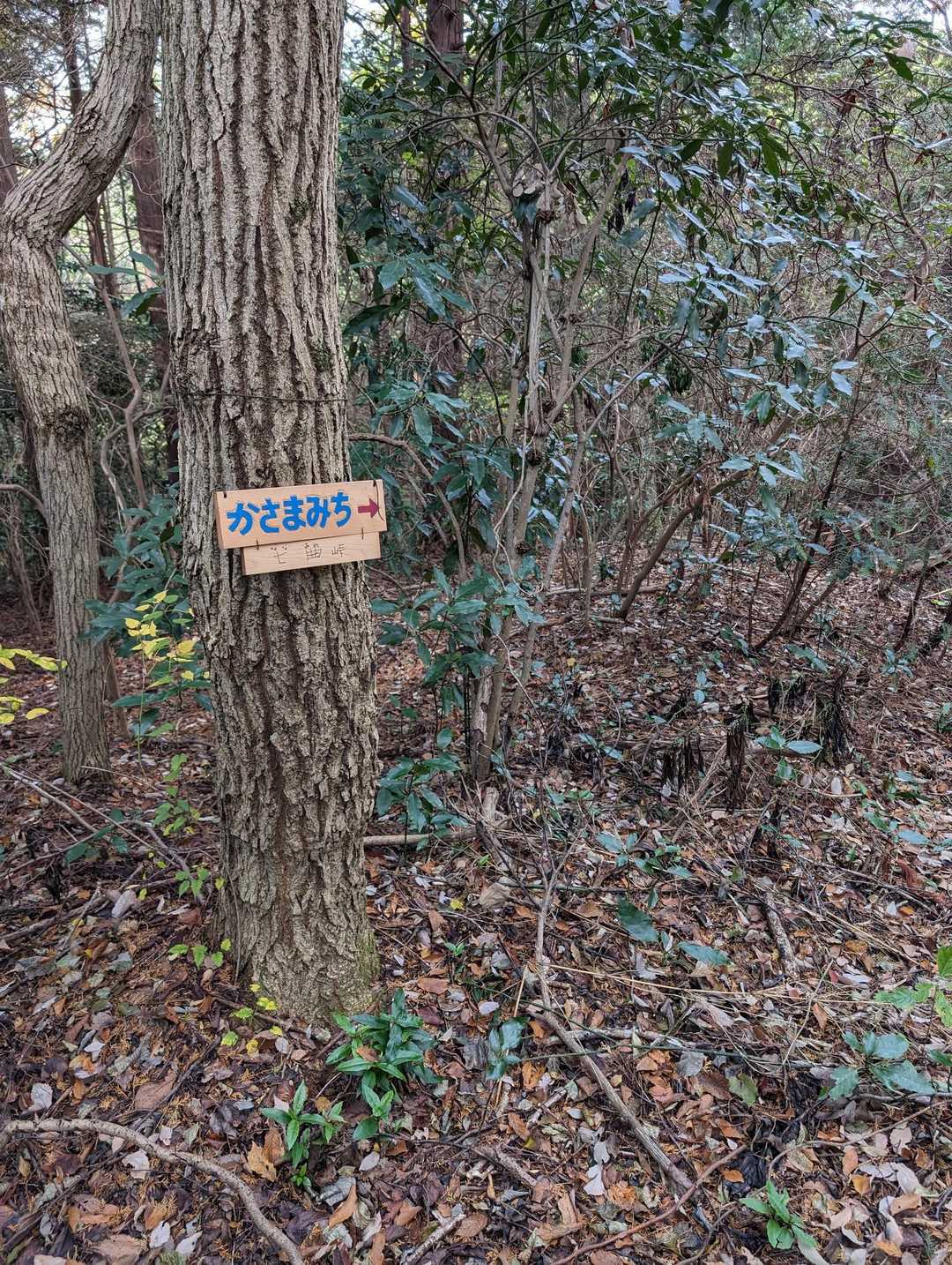 笠間道峠