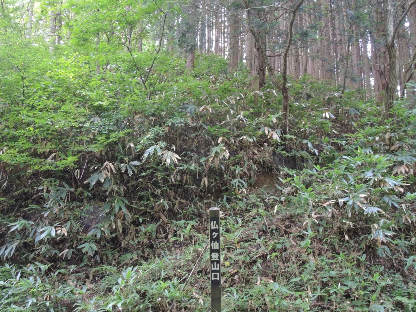 登山口を行き過ぎた辺りの少し広い所に車を止めて、いざ出発です❗😅