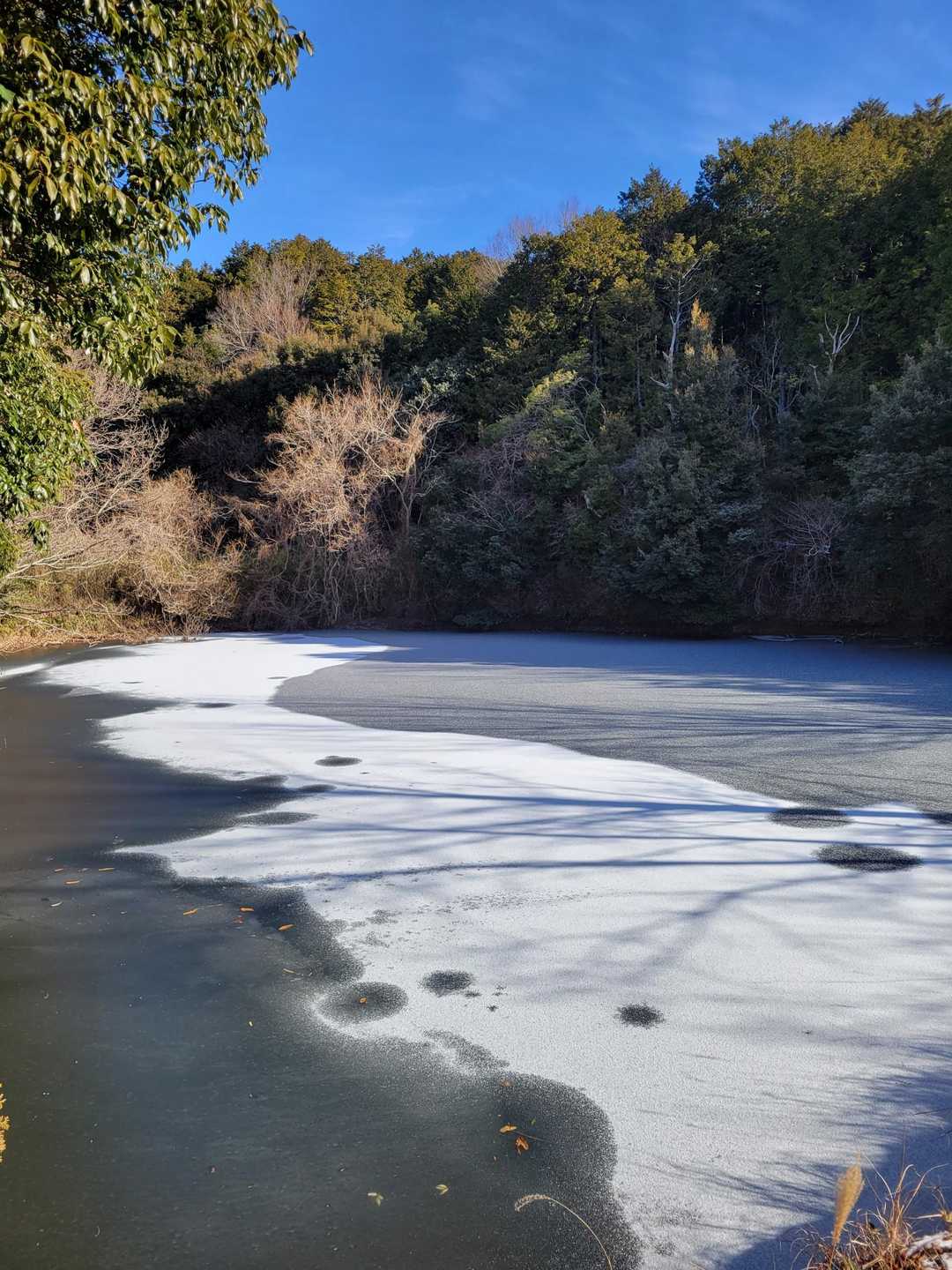 凍った池