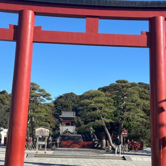 鶴岡八幡宮の敷地を通ります