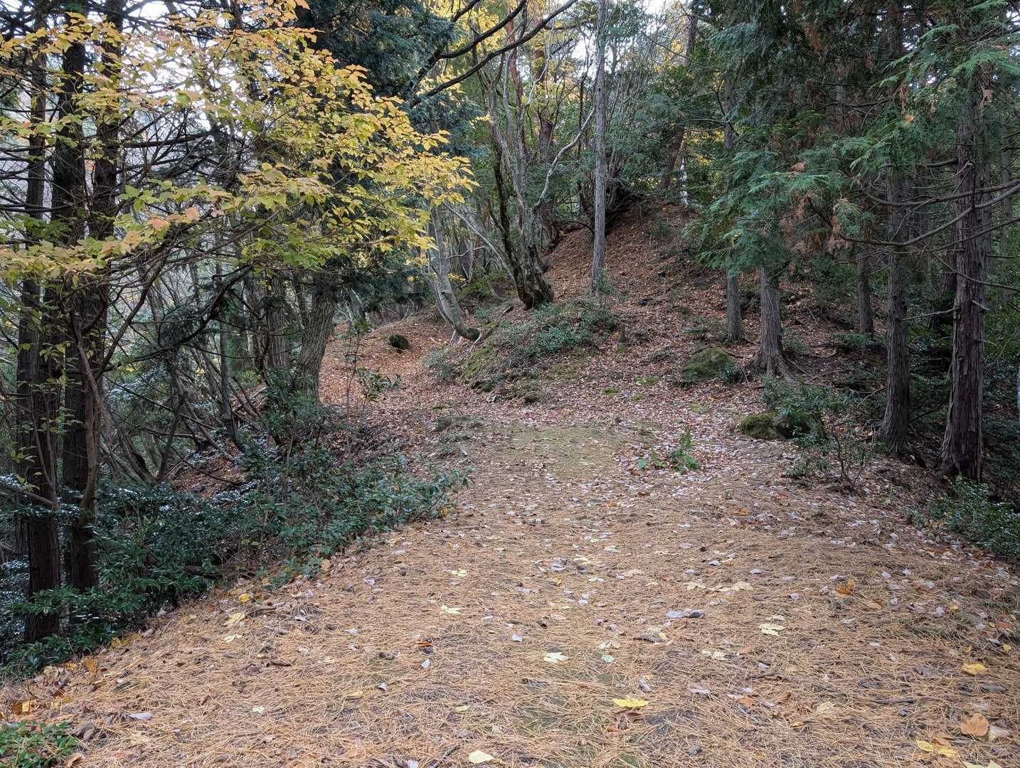 広い道