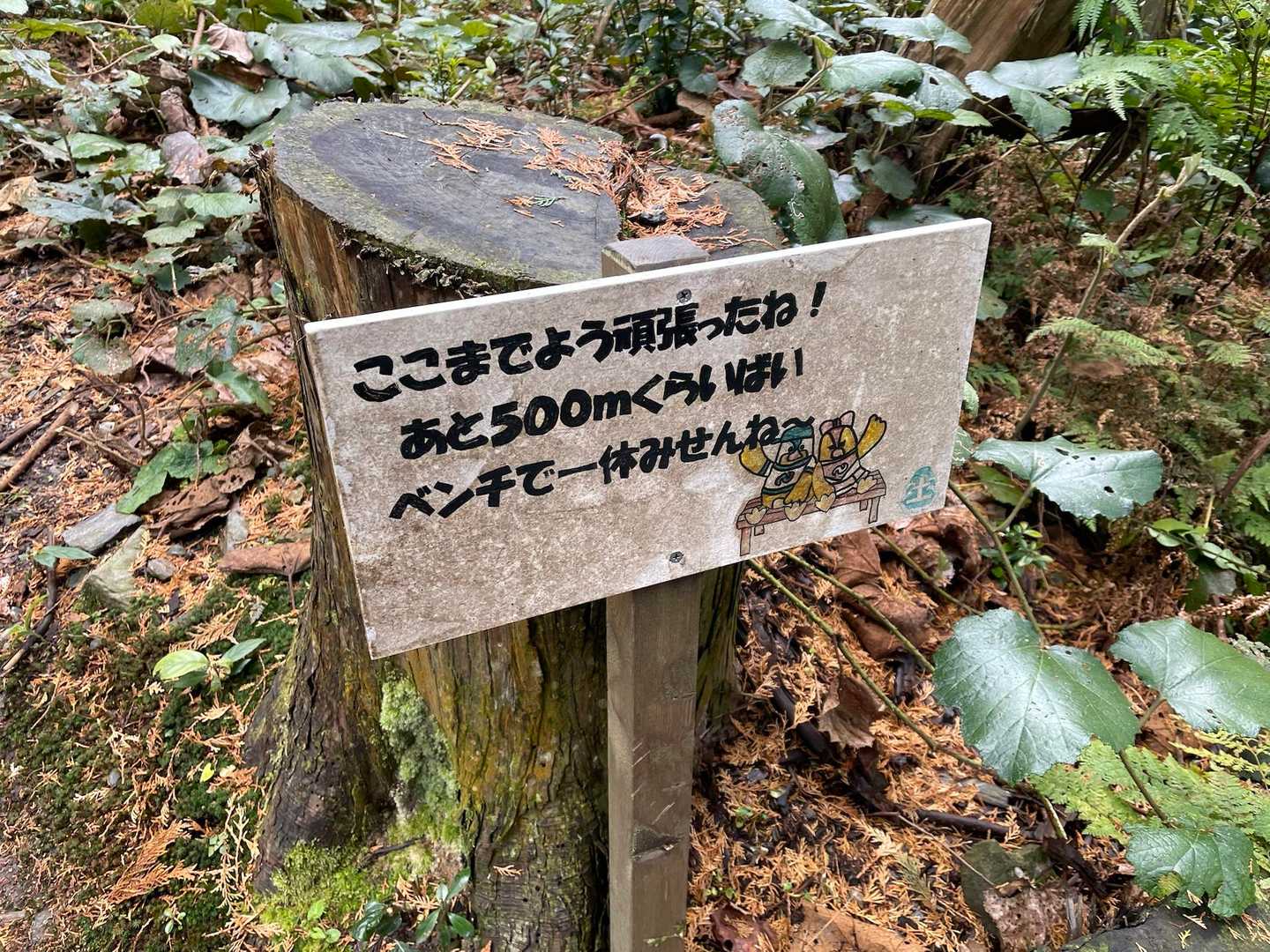 八郎岳-小八郎岳-千々峠 周回コースの写真