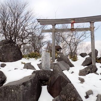 神社で手を合わせる。